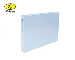 �����ν�BIGPROS D843 A3 3cm(��) ���� D�����δ� 1��/5���� (����)