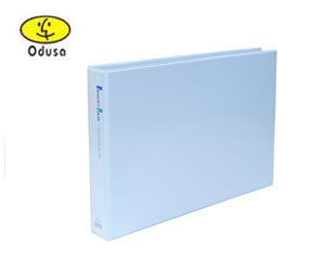 �����ν�BIGPROS D845 A3 5cm(��) ���� D�����δ� 1��/5���� (����)